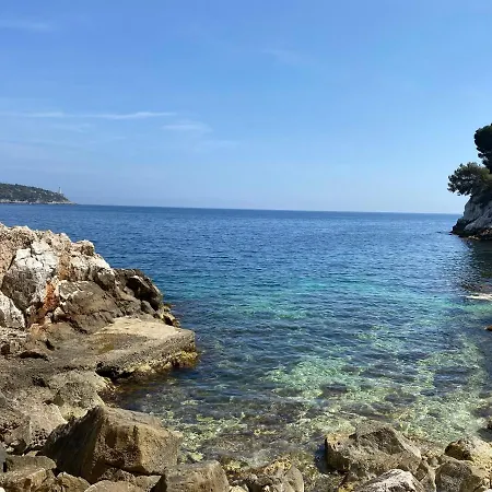 Riviera Dreams Of Life