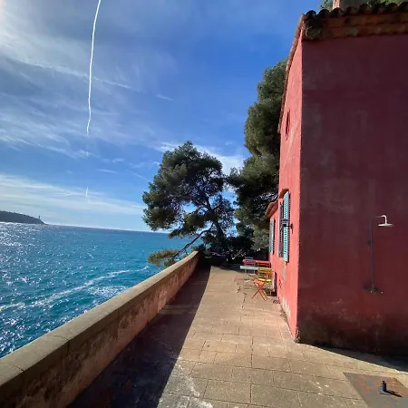 Riviera Dreams Of Life