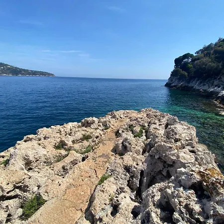 Riviera Dreams Of Life Nice