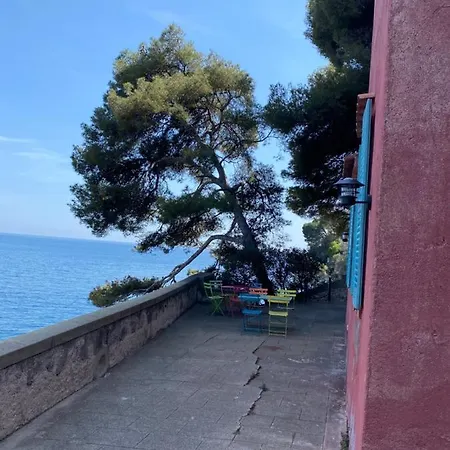 Riviera Dreams Of Life