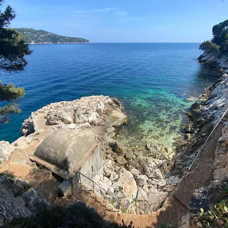 Riviera Dreams Of Life Nice